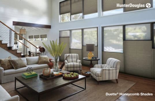 Hunter Douglas Duette Honeycomb Shades