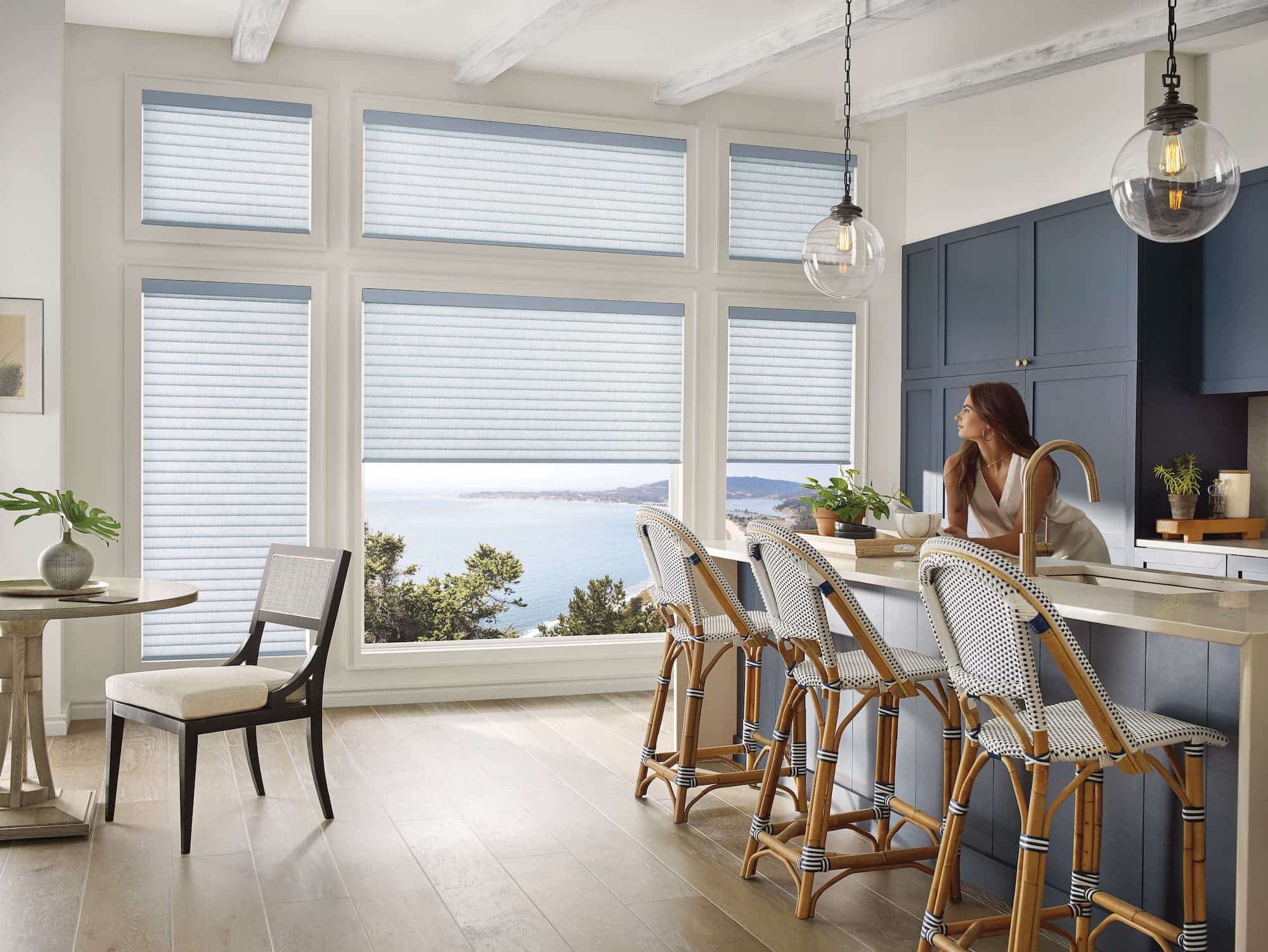 Costco Window Treatments